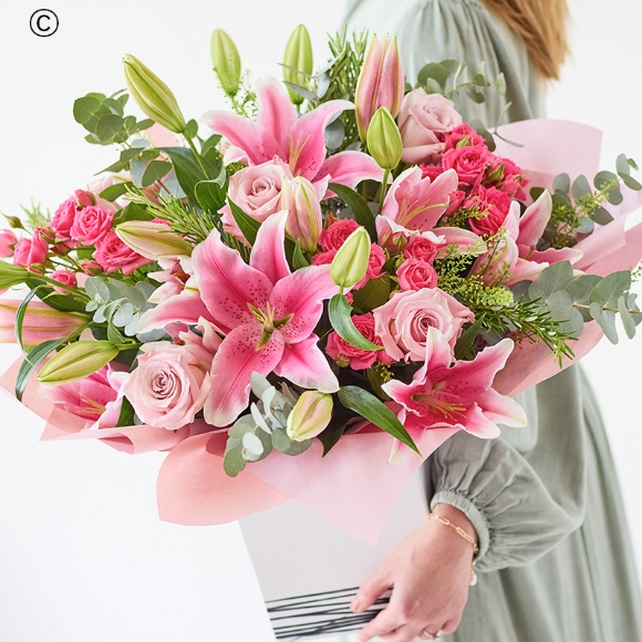 The Lily Rose Romance